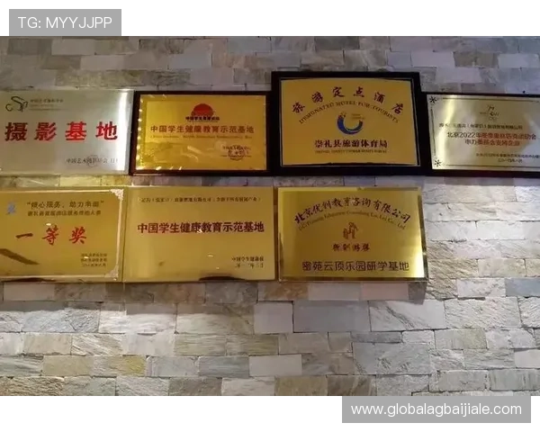 云顶投资有限公司的市场扩展策略与国际化发展前景分析 云顶投资有限公司的市场扩展策略与国际化发展前景分析